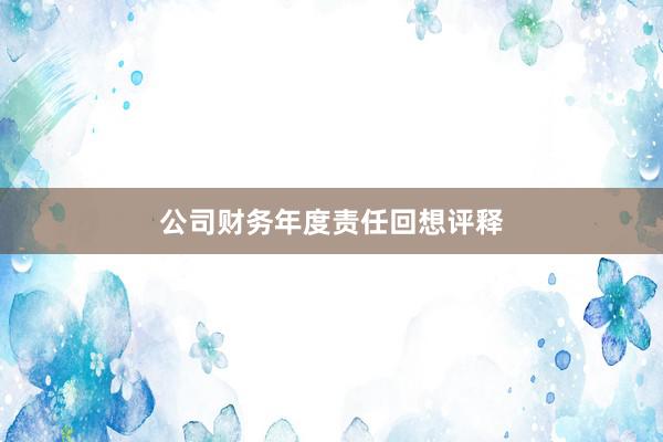 公司财务年度责任回想评释