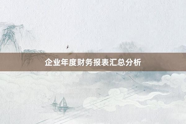 企业年度财务报表汇总分析